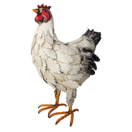 GALLINA IN FERRO