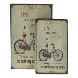 COPPIA SCATOLE LIBRO