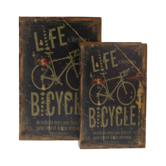 COPPIA SCATOLE LIBRO