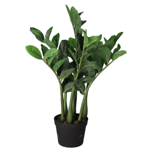 GEMMA DI ZANZIBAR CON VASO