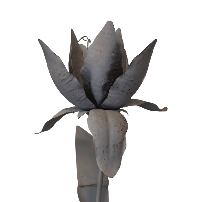 PIANTONE IN FERRO CON NINFEA