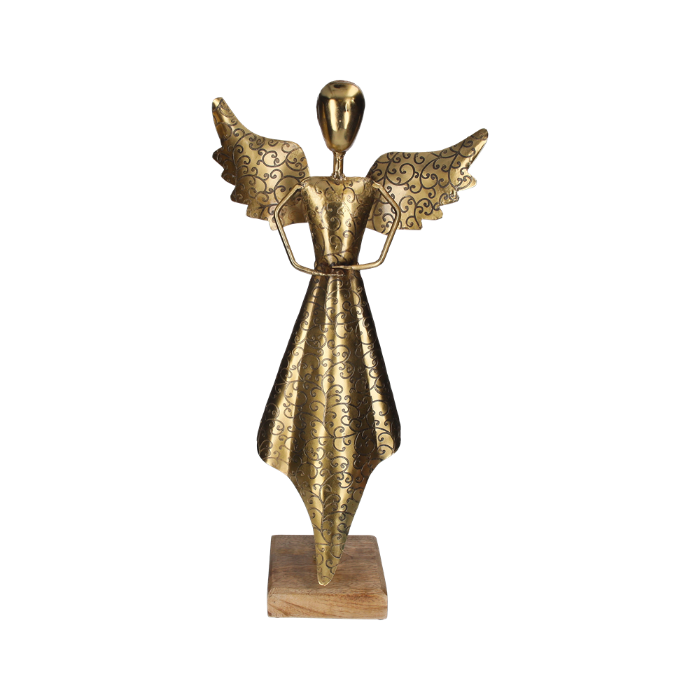 ANGELO CON ALI APERTE