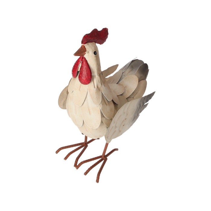 GALLINELLA DECORATIVA